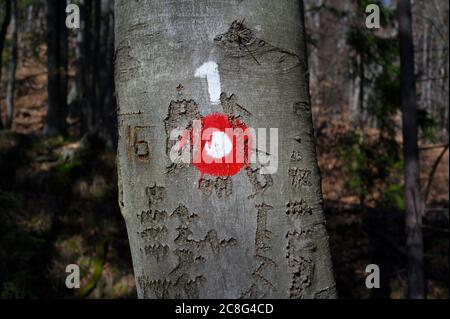 Wanderzeichen in Slowenien. Gemalte Markierung für Touristen, Wanderer und Trekker. Es hilft, Wanderer während der Wanderung, Methode der Navigation auf touristische navigieren Stockfoto
