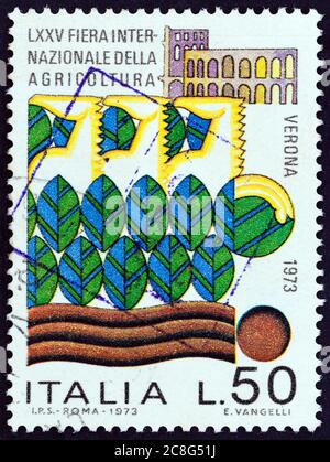 ITALIEN - UM 1973: Eine in Italien gedruckte Marke, die für die 75. Internationale Landwirtschaftsmesse ausgestellt wurde, Verona zeigt Fair Theme, um 1973. Stockfoto