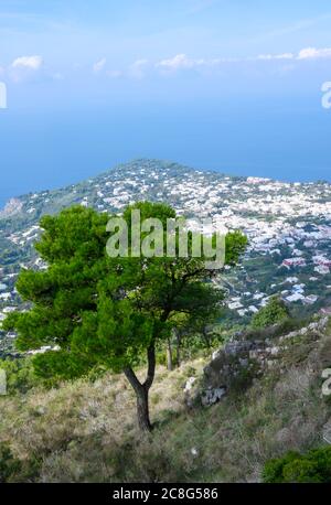 Blick vom Mount Solano auf Capri und den Golf von Neapel. Capri, Italien Stockfoto