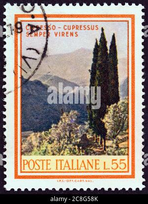 ITALIEN - UM 1968: Eine in Italien gedruckte Marke aus der Ausgabe 'Bäume und Sträucher' zeigt die italienische Zypresse (Cupressus sempervirens), um 1968. Stockfoto