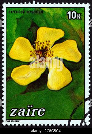 ZAIRE - UM 1984: Eine in Zaire gedruckte Marke aus der 'Blumen'-Ausgabe zeigt Hypericum revolutum, um 1984. Stockfoto