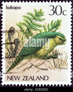 NEUSEELAND - UM 1982: Eine in Neuseeland gedruckte Marke aus der 'Native Birds'-Ausgabe zeigt Kakapo (Strigops habroptilus), um 1982. Stockfoto