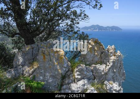 Kalkstein und Eiche mit dem Meer und Monte Buciero als Hintergrund Stockfoto