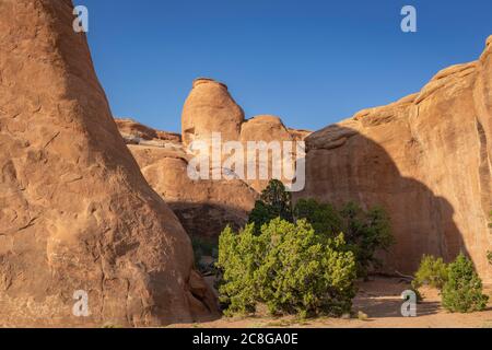 Felsformation im Arches National Park, USA Stockfoto