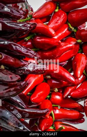 Rote Espelette Paprika Nahaufnahme Stockfoto