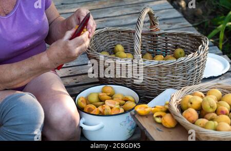 Kiew, Ukraine. Juli 2020. Eine Frau, die Gruben aus reifen Aprikosen für die Herstellung von Marmelade.domestisch produziert, Aprikosen haben sich die billigste Frucht auf dem ukrainischen Markt. Kredit: Igor Golovniov/SOPA Images/ZUMA Wire/Alamy Live Nachrichten Stockfoto