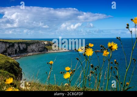 Malerische Küste der Antrim Küste in Nord-Irland Stockfoto