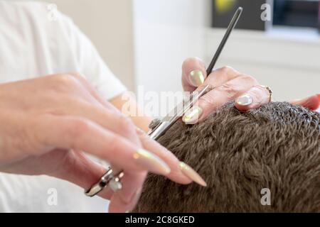 Mann, der Frisur Stockfoto