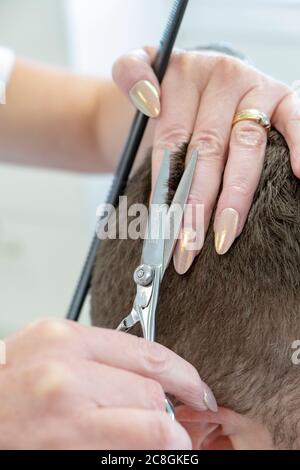 Mann, der Frisur Stockfoto