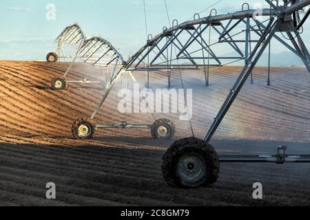 Ein Pivot-Sprinkler für landwirtschaftliche Zentren, der zur Bewässerung von Kartoffelreihen auf einem Feld in den fruchtbaren Feldern der Farm von Idaho verwendet wird. Stockfoto