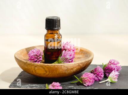 Selektiver Fokus auf Trifolium Pratense die Tinktur-Flasche mit roten Kleeblatt und gepflückten Blüten für die Dekoration im Studio. Stockfoto