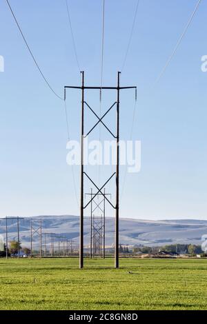 Reihen von elektrischen Pylonen oder Strommasten mit Hochspannungsleitungen. Stockfoto