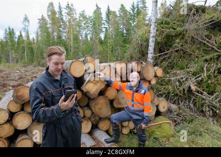 Reifer Mann Überprüfung gehacktes Holz mit glücklichen jungen Mann mit Telefon außerhalb des Waldes Stockfoto