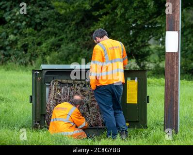 OpenReach-Ingenieure arbeiten an einer Exchange Box in Cumbria, England, Großbritannien. Stockfoto