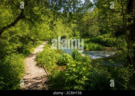 Dove Dale - schöne Aussicht über das Wasser unter den grünen Bäumen an einem sonnigen Tag Stockfoto