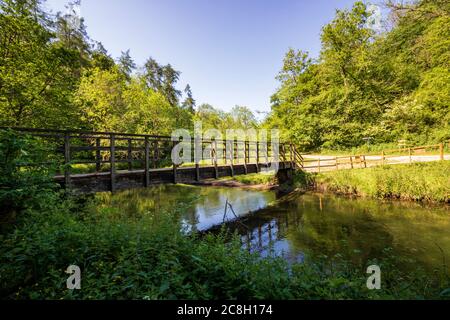 Dove Dale - schöne Aussicht über das Wasser unter den grünen Bäumen an einem sonnigen Tag Stockfoto