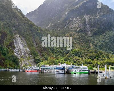 Vor dem Besucherzentrum liegen Kreuzfahrtschiffe im Milford Sound, Fiordland National Park, Southland, South Island, Neuseeland Stockfoto