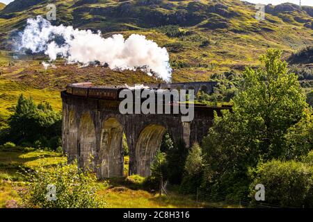 Glenfinnan, SCHOTTLAND: Schöner alter 'Jacobite' Zug, der nach Fort Williams fährt. Die Dampflokomotive aus Harry Potter Film namens Hogwart Express. Stockfoto