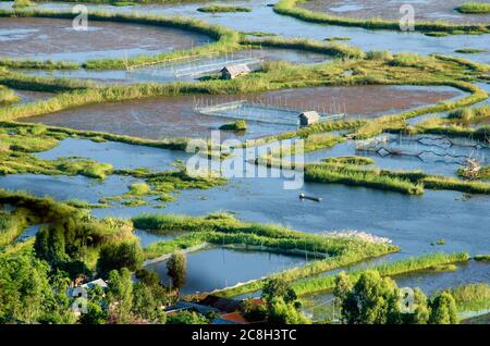 Grüne Landschaft und Loktak See Stockfoto