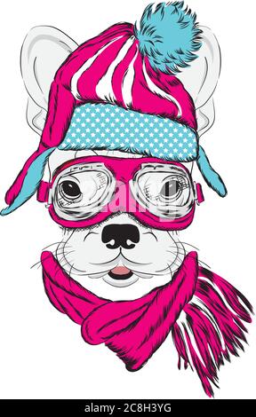 Husky in stilvollem Hut, Schal und Brille. Ein Stammbaum Hund in Kleidung und Accessoires. Mode & Style. Vektorgrafik. Stock Vektor