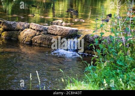 Dove Dale fließendes Wasser über Steinen in einem Naturschutzgebiet in England Stockfoto