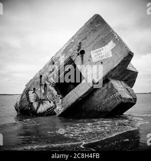 blockhaus aus dem Zweiten Weltkrieg, Le Hourdel, Cayeux sur Mer, Somme, Hauts-de-France, Frankreich Stockfoto