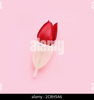 Wiederverwendbarer Menstruationstasse mit roter Tulpe innen auf rosa Hintergrund. Alternative weibliche Hygiene-Produkt während der Periode. Frauengesundheitskonzept. Keine Wa Stockfoto