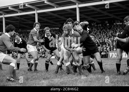 Derek Quinnell von Llanelli RFC schnackt am 21. Oktober 1980 gegen die neuseeländischen All Blacks im Stradey Park, Llanelli, um den Ball. Stockfoto