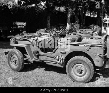 September 2019 - Willys Jeep beim Goodwood Revival Stockfoto