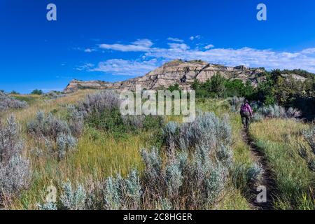 Butes und die Landschaft entlang des Caprock Coulee Nature Trail im Theodore Roosevelt National Park, North Unit, North Dakota, USA Stockfoto