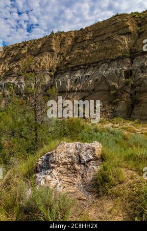 Versteinertes Holz entlang des Caprock Coulee Nature Trail im Theodore Roosevelt National Park, North Unit, North Dakota, USA Stockfoto