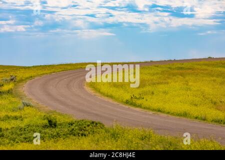 Kurviger Weg durch die Prärie in der Gegend über dem Little Missouri River im Theodore Roosevelt National Park, North Unit, in North Dakota, USA Stockfoto