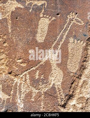 Twyfelfontein Petroglyphen in Namibia, Afrika Stockfoto