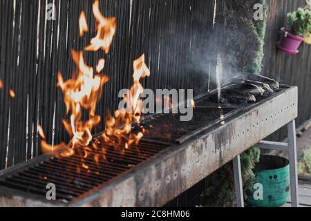 Lange rechteckige Grill mit Feuer auf der Straße, Auberginen werden am Tag im Freien gebraten. Sommer Grillkochen über einem heißen Feuer. Grill mit rohem Gemüse Stockfoto