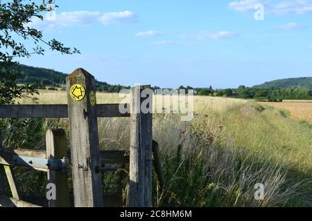 Getreidefelder und Heckenpflanzen im Darent Valley bei Otford, Kent, England, im Hochsommer. Blauer Himmel und schöne Landschaft Stockfoto