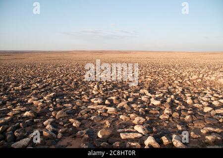 Basaltsteine und Felsen aus uralten Vulkanen bedecken die östliche Wüste, die "schwarze Wüste", in der Region Badia des Haschemitischen Königreichs Jordanien. Stockfoto