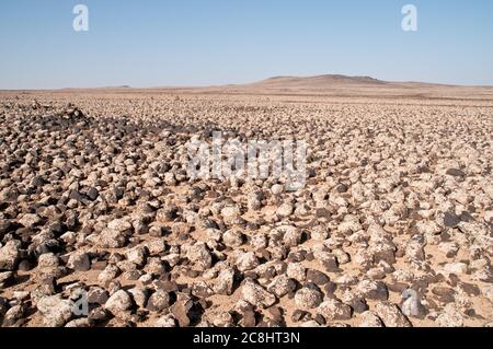 Basaltsteine und Felsen aus uralten Vulkanen bedecken die östliche Wüste, die "schwarze Wüste", in der Region Badia des Haschemitischen Königreichs Jordanien. Stockfoto