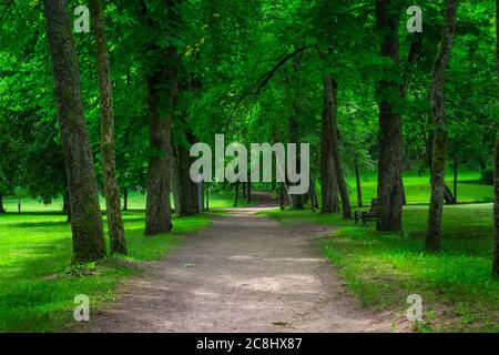 Pfad in einem öffentlichen Park umgeben von üppigen grünen Wäldern an einem sonnigen Tag. Schöne Straße im Stadtpark. Niemand Stockfoto