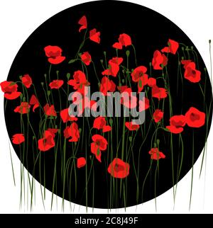 Elegante dunkle Illustration des schwarzen Kreises mit roten Mohnblumen Stock Vektor