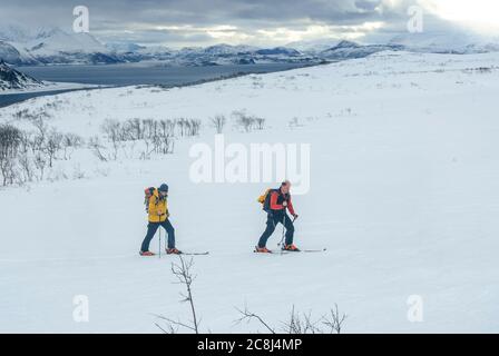 Skibergsteiger beim Bergsteigen in den nördlichen norwegischen lyngenalpen Stockfoto