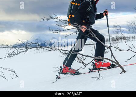 Skibergsteiger beim Bergsteigen in den nördlichen norwegischen lyngenalpen Stockfoto