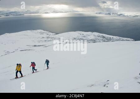 Skibergsteiger beim Bergsteigen in den nördlichen norwegischen lyngenalpen Stockfoto