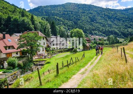 Gruppe von Mountainbikern, die eine Tour im Schwarzwald machen Stockfoto