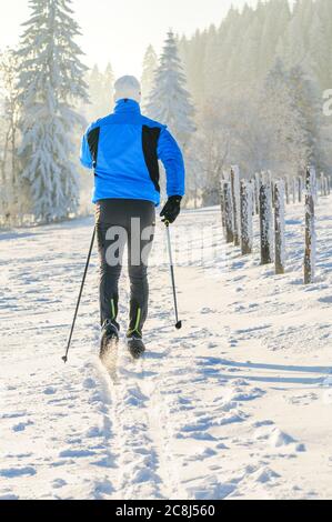 Entspannte Tour auf cc-Ski im klassischen Stil in winterlicher Natur Stockfoto