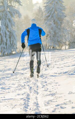 Entspannte Tour auf cc-Ski im klassischen Stil in winterlicher Natur Stockfoto