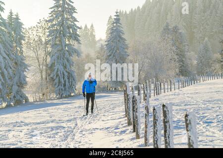 Entspannte Tour auf cc-Ski im klassischen Stil in winterlicher Natur Stockfoto