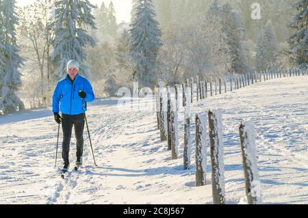 Entspannte Tour auf cc-Ski im klassischen Stil in winterlicher Natur Stockfoto