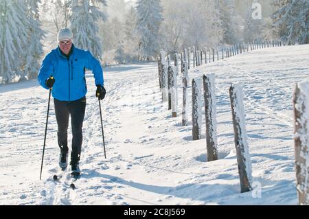 Entspannte Tour auf cc-Ski im klassischen Stil in winterlicher Natur Stockfoto