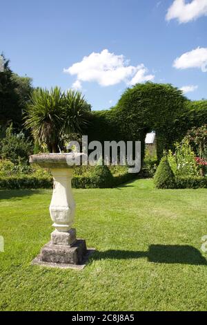 Hausgarten und Pflanzen Stockfoto