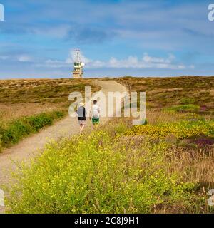 POINTE DU RAZ, BRETAGNE, FRANKREICH - JUNI 2015: Pfad an der Spitze des Kap Raz, wo die Büsche blühen. Stockfoto